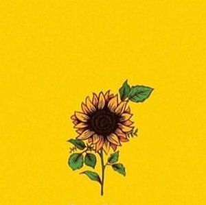 Meet your Posher, Catalina